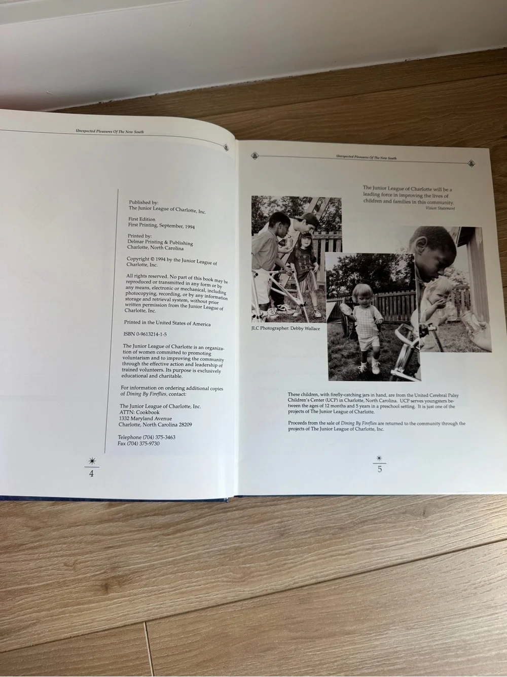 Dining by Fireflies Cookbook - Blue Cover Edition
